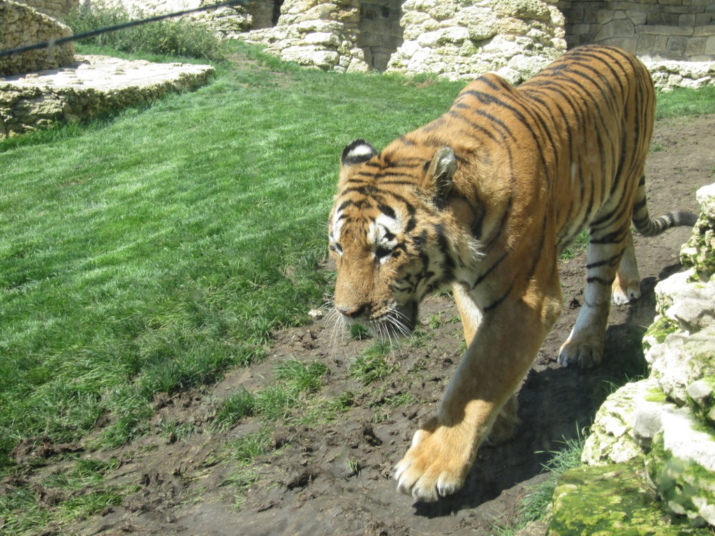 Изображение 648