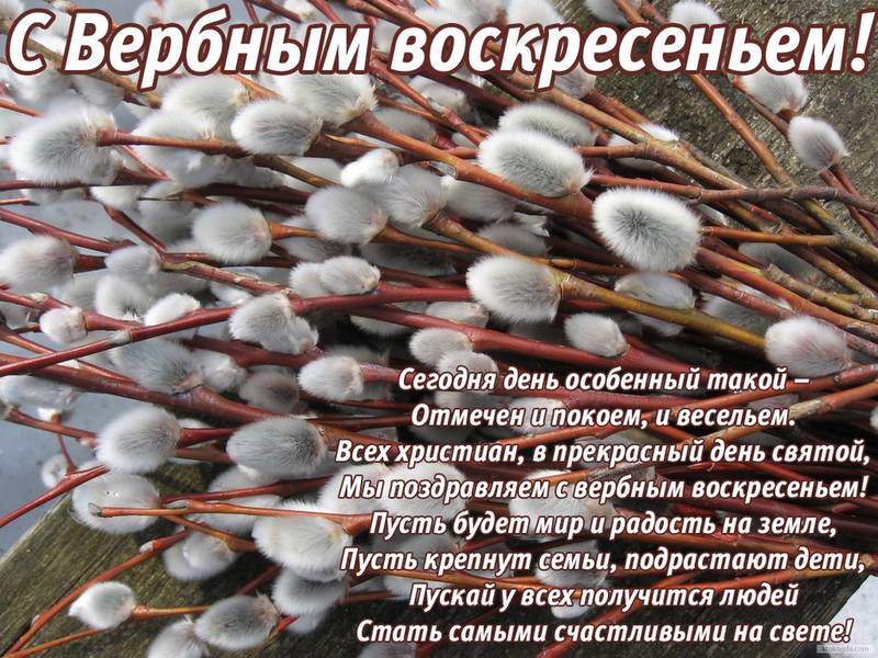 http://images.vfl.ru/ii/1397377937/ee43f9fd/4816429_m.jpg