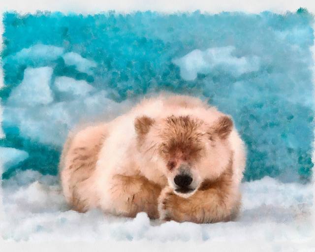 Polar-Bear-Спящая-DAP-Акварель-1024x1280 Polar-Bear-Спящая-DAP-Акварель-1024x1280