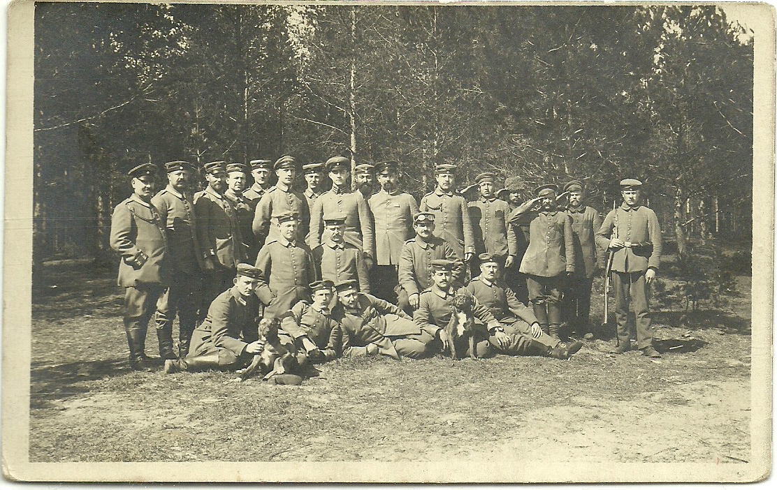 сканирование0013