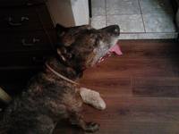 VFL.RU - ваш фотохостинг