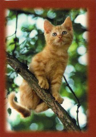 VFL.RU - ваш фотохостинг VFL.RU - ваш фотохостинг