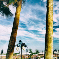 Tokio-Hotel-028-Tom-Kaulitz-Coachella