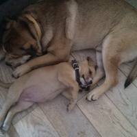 VFL.RU - ваш фотохостинг