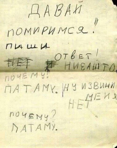 4949031.jpg