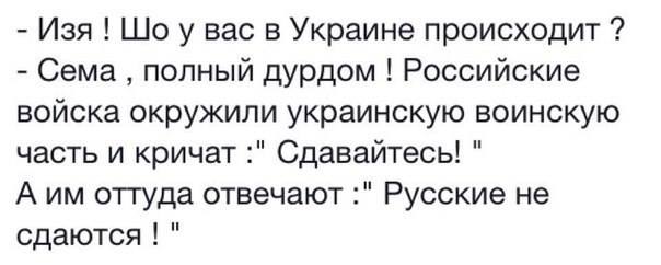 6iy6QibzbOc