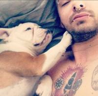 bill-kaulitz-und-seine-bulldogge