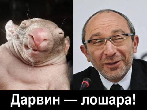 Депа Дарвин лошара