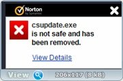 4981067.jpg