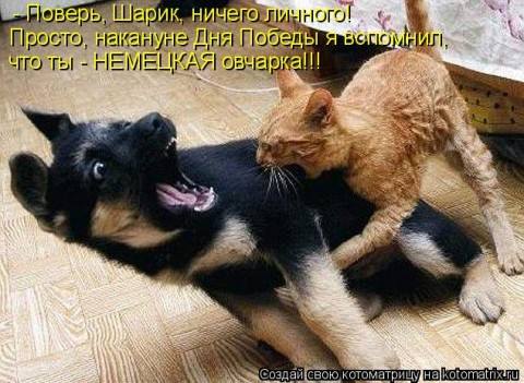 VFL.RU - ваш фотохостинг