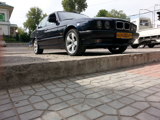 5054993_m.jpg