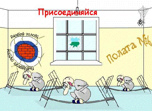 №6