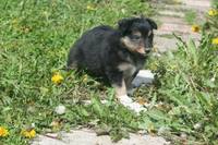 VFL.RU - ваш фотохостинг