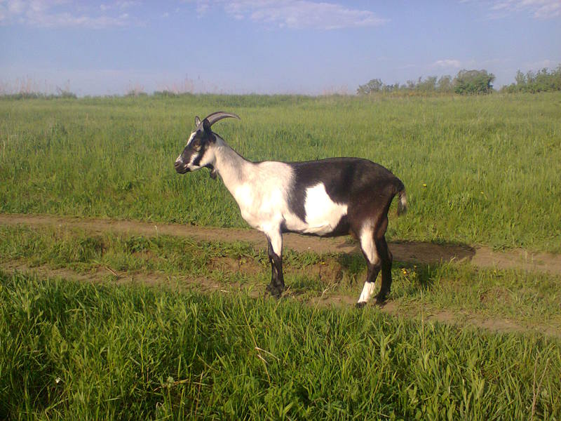 1 июня.2014 г 184