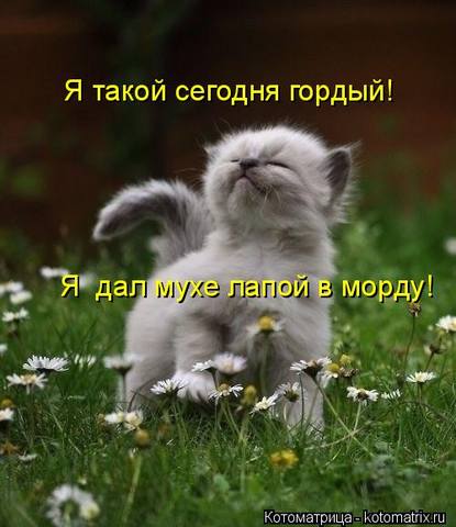 Эти забавные животные