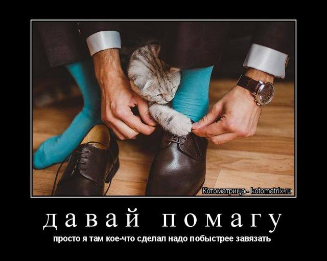 Эти забавные животные