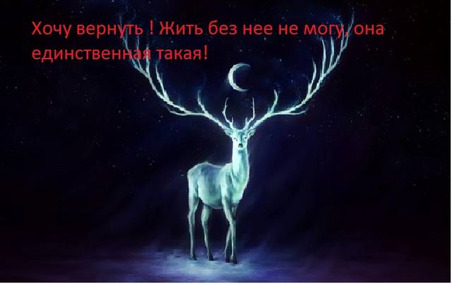 5345970_m.jpg