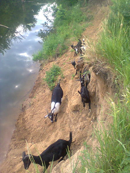 11 июня 2014 г 056