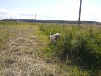 VFL.RU - ваш фотохостинг