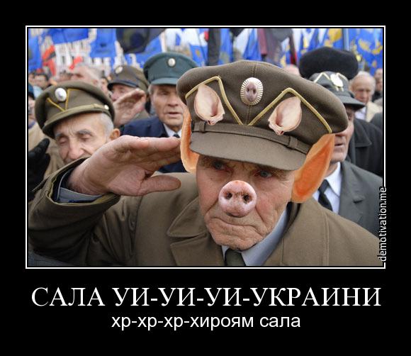 Бандеровцы, фото и демотиваторы (+21)