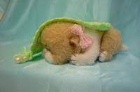 VFL.RU - ваш фотохостинг