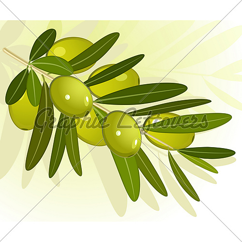 olive-branch medium