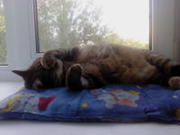 VFL.RU - ваш фотохостинг