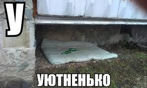 5899450_m.jpg