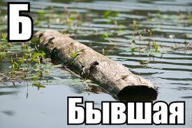 5899449_m.jpg