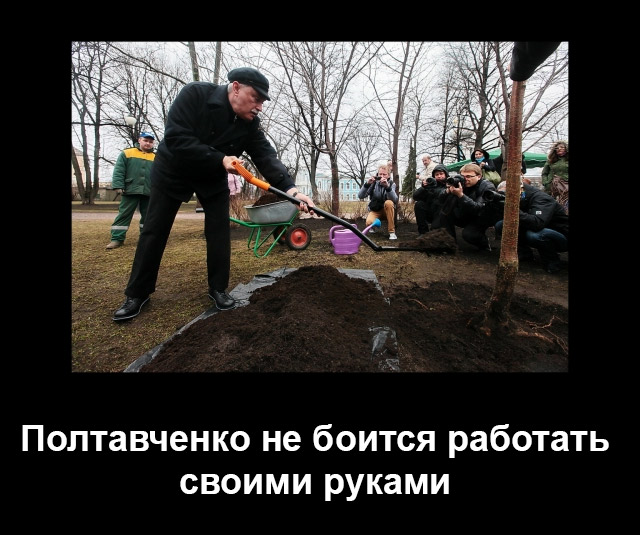 Своими руками - Полтавченко сажает дерево