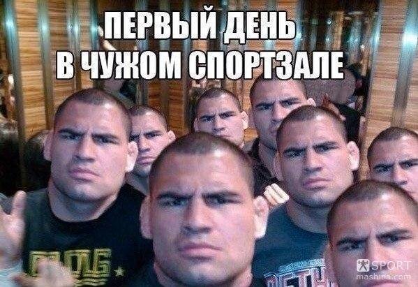 5929043_m.jpg