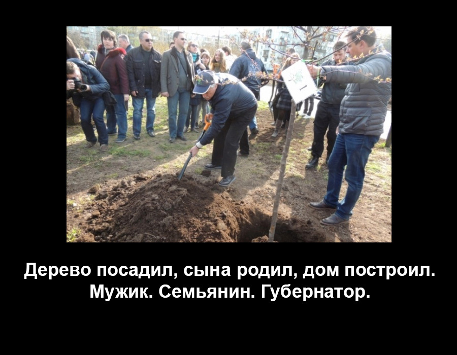 Губернатор Полтавченко посадил дерево