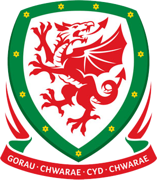 Football Association of Wales 2011