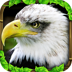 http://images.vfl.ru/ii/1408827057/50854a0e/6099555_m.png