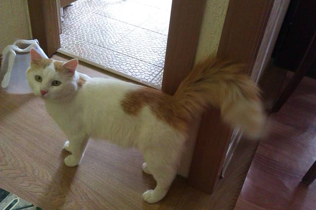 user posted image