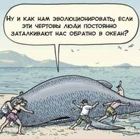 Проблемы эволюции.