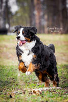 VFL.RU - ваш фотохостинг