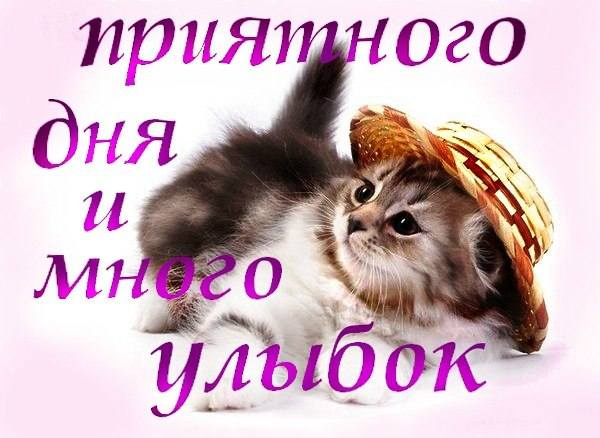 http://images.vfl.ru/ii/1410156730/77e2cef4/6263445_m.jpg