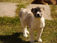 VFL.RU - ваш фотохостинг