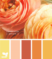 Цвет и цветовые сочетания 6407372_s