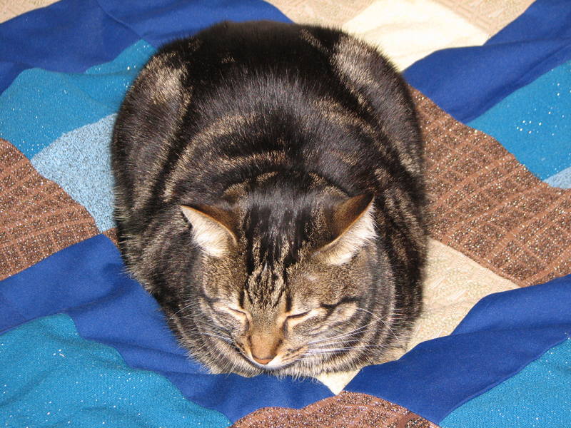 Изображение 045