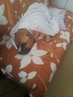 VFL.RU - ваш фотохостинг