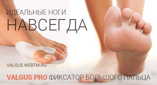 Что такое гриб паразиты