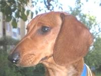 Копия Изображение 069