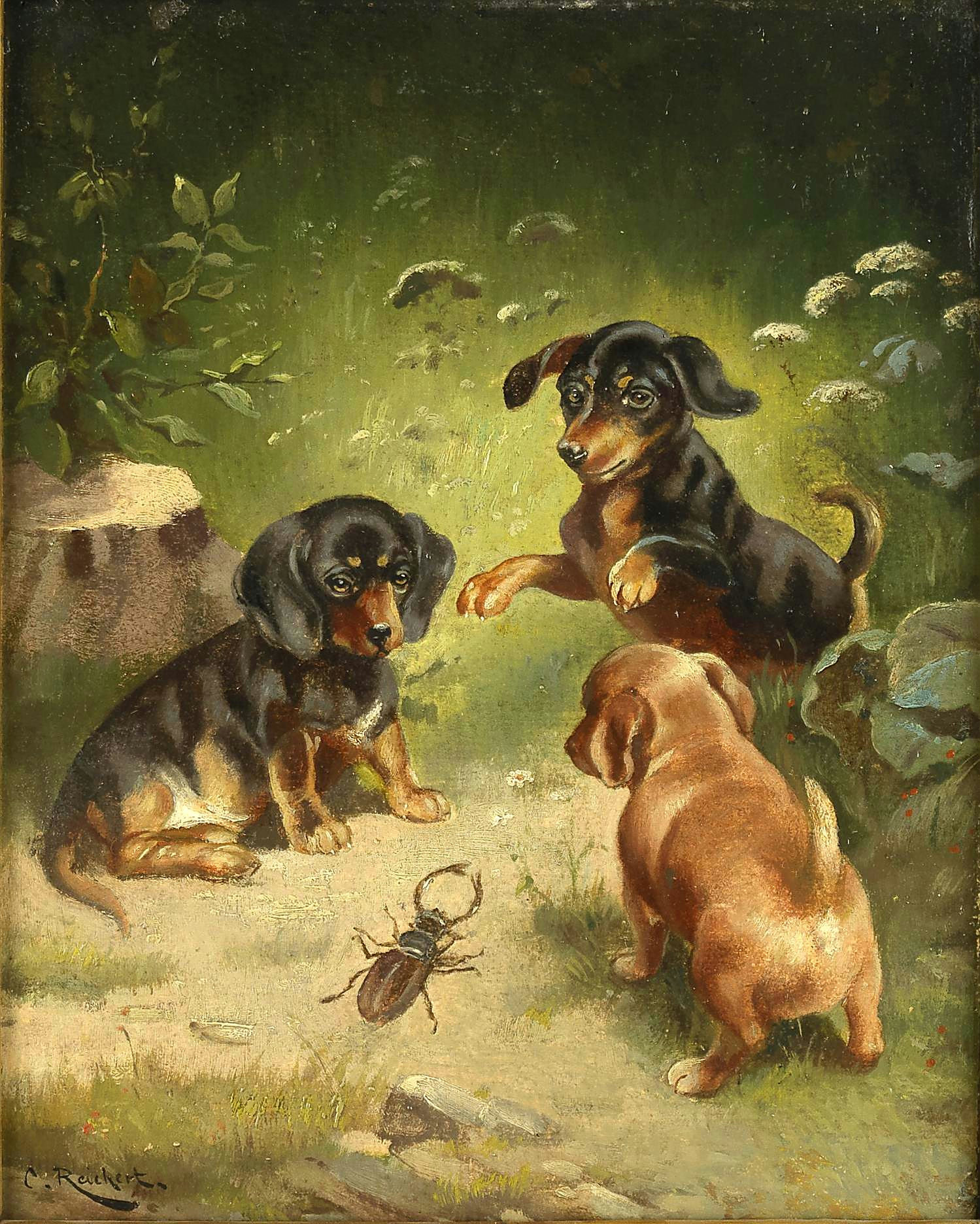 щенки и жук