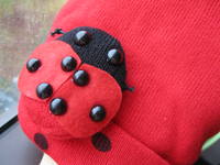 VFL.RU - ваш фотохостинг