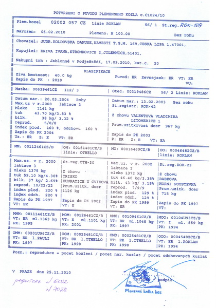 паспорт на Колду новый размер