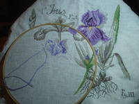 VFL.RU - ваш фотохостинг