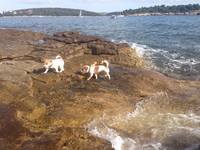 VFL.RU - ваш фотохостинг