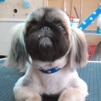 VFL.RU - ваш фотохостинг